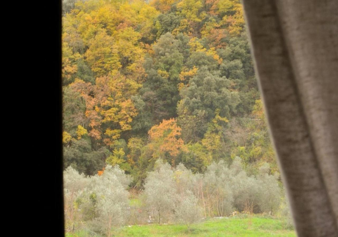 Bed and Breakfast Il Cappellaio Matto Montalto Ligure Экстерьер фото
